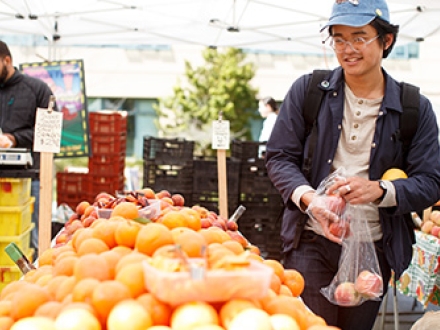 Farmer's Market